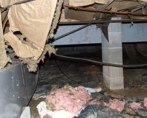 Crawl space damage in Madison, AL